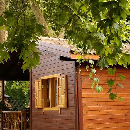 Maji Village Çıralı Εξωτερικό φωτογραφία