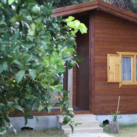 Maji Village Çıralı Εξωτερικό φωτογραφία