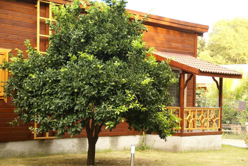 Maji Village Çıralı Εξωτερικό φωτογραφία