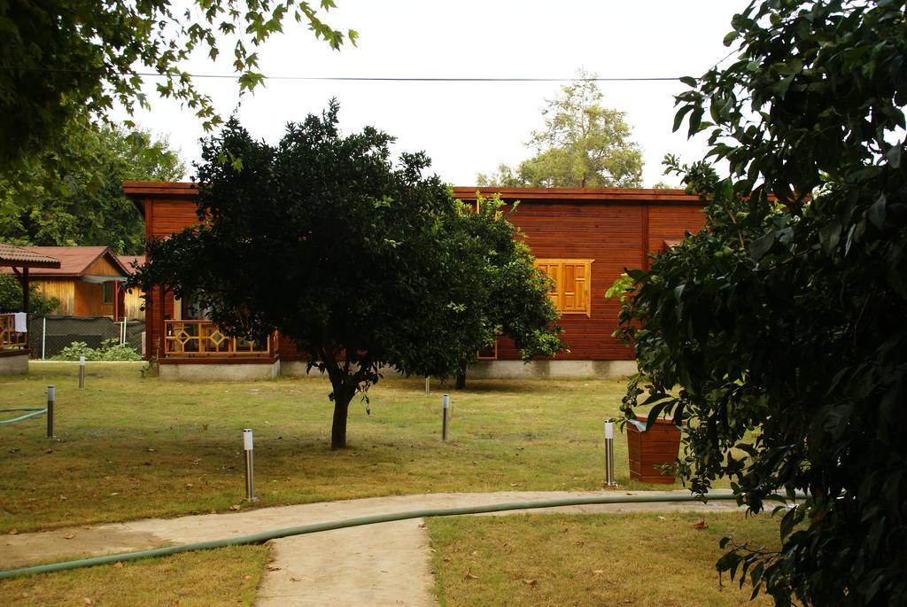 Maji Village Çıralı Εξωτερικό φωτογραφία