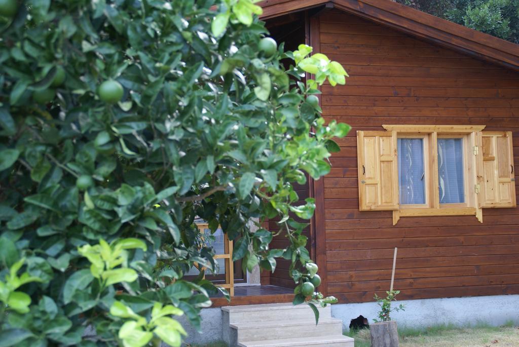 Maji Village Çıralı Εξωτερικό φωτογραφία