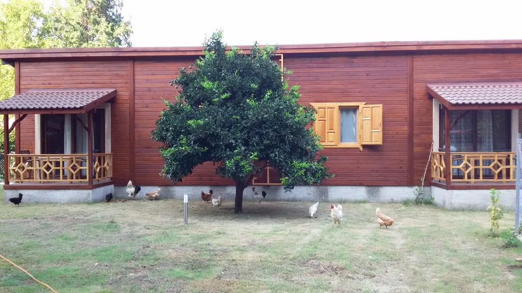Maji Village Çıralı Δωμάτιο φωτογραφία
