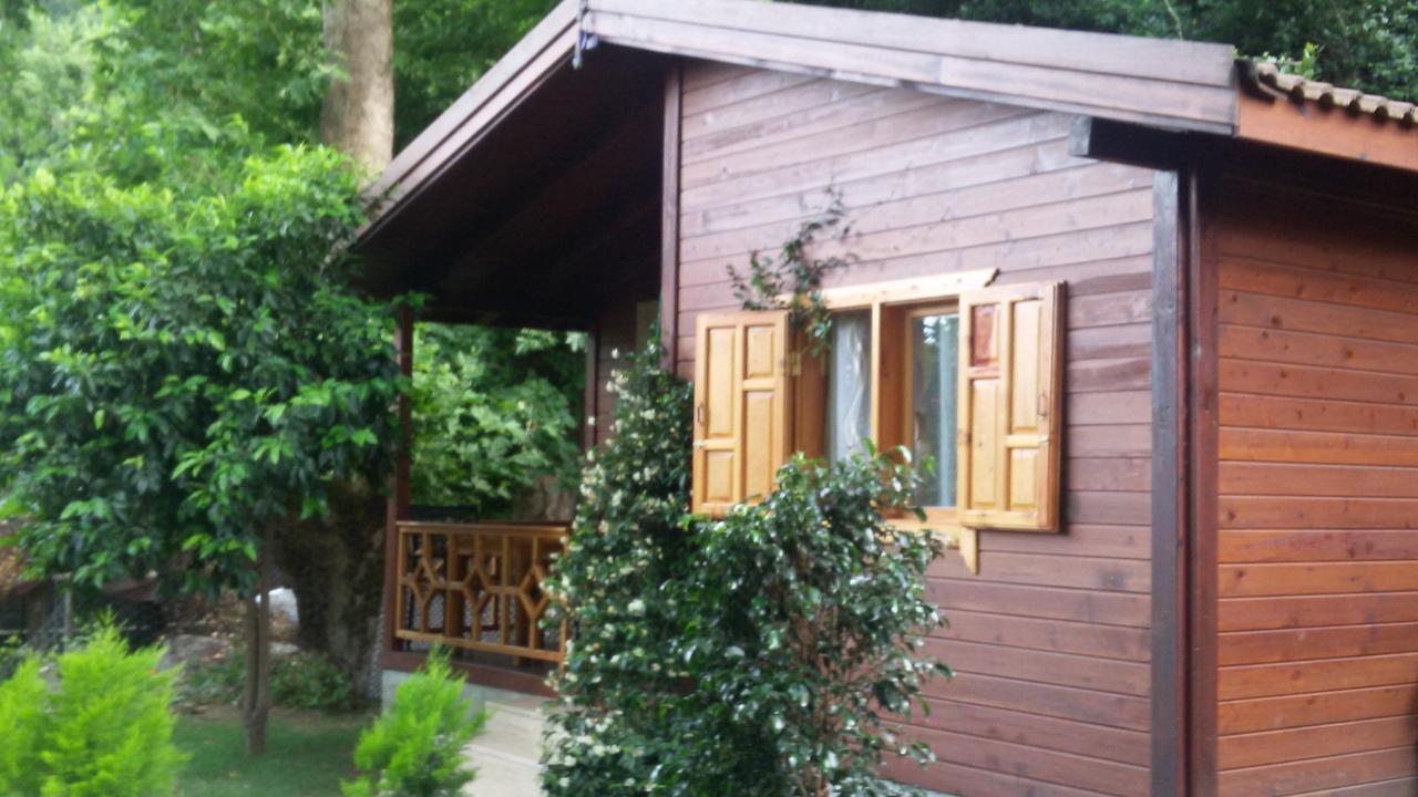 Maji Village Çıralı Εξωτερικό φωτογραφία