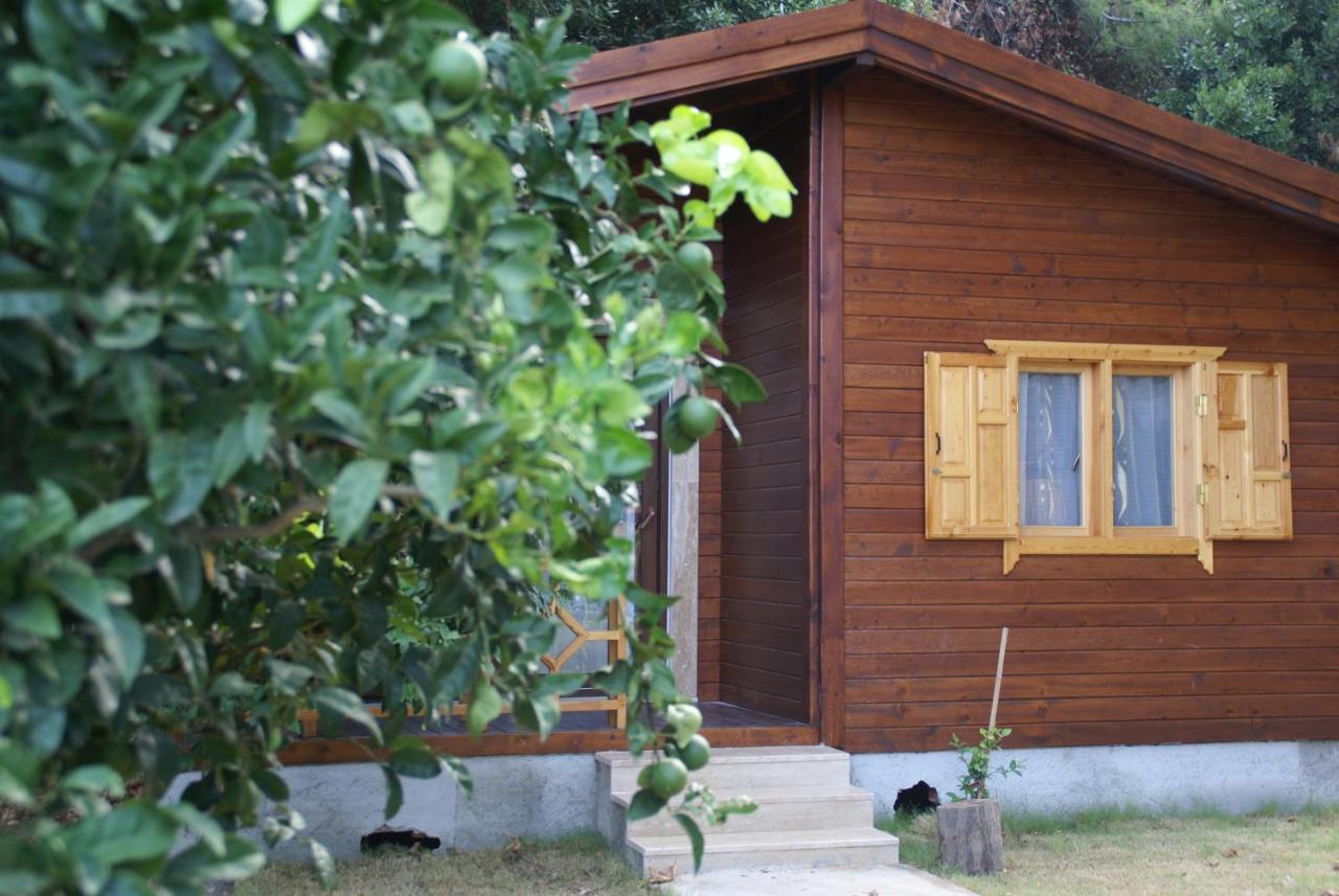 Maji Village Çıralı Εξωτερικό φωτογραφία