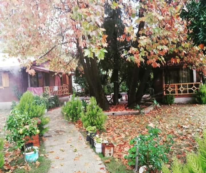 Maji Village Çıralı Εξωτερικό φωτογραφία
