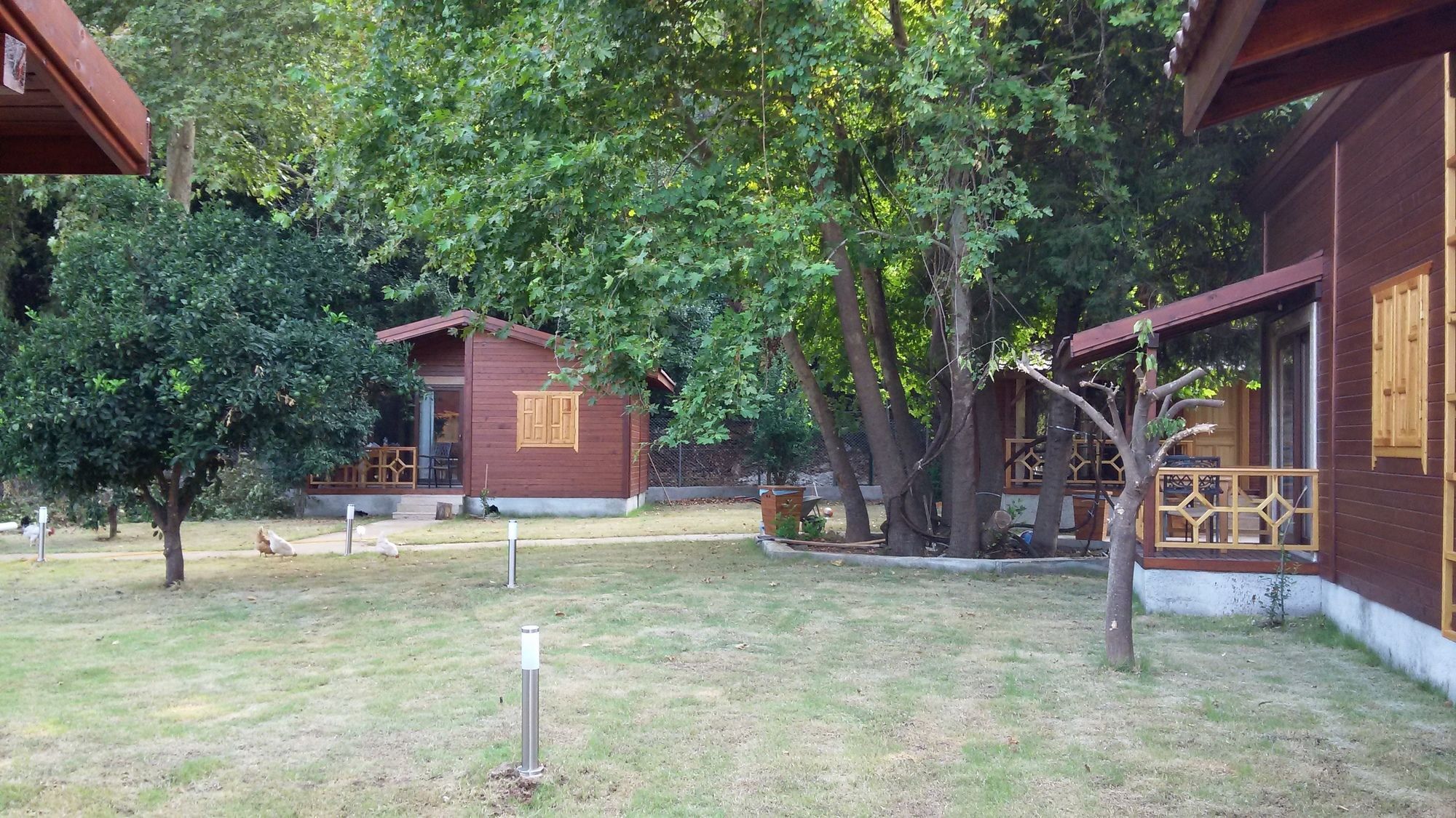 Maji Village Çıralı Εξωτερικό φωτογραφία