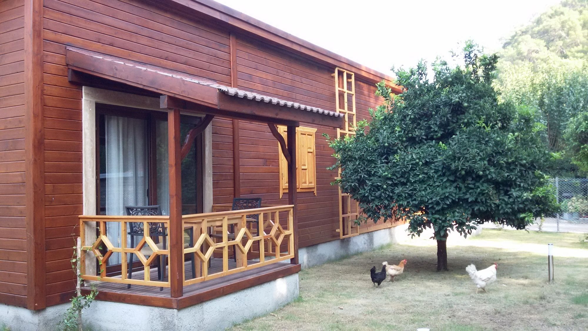 Maji Village Çıralı Εξωτερικό φωτογραφία